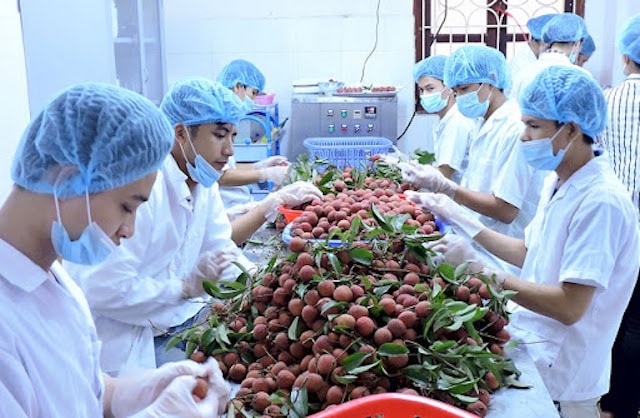Một trong những mục tiêu của Đề án nhằm định vị và phát triển thương sản phẩm nông lâm thủy sản của Việt Nam trên thị trường quốc tế