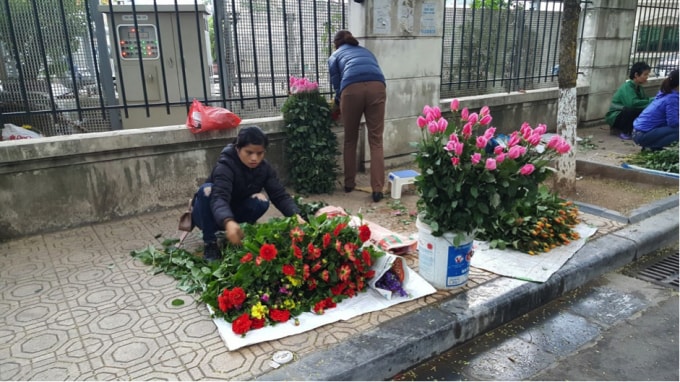 Hoa tươi đang tăng giá mạnh.