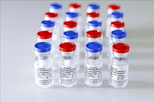 Vắc xin COVID -19 đang được nhiều nước trên thế giới đẩy mạnh sử dụng (ảnh TL).