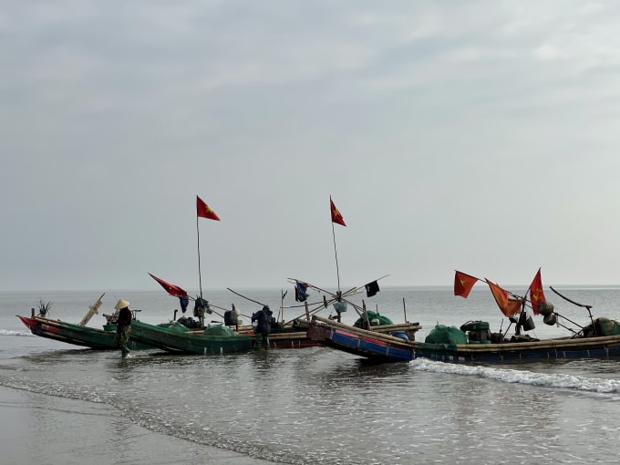 Chỉ có khoảng hơn hai chục bè mảng trên tổng số 300 chiếc ở xã Hoằng Thanh ra khơi lấy may vào ngày mùng 2 Tết. Ảnh: QD