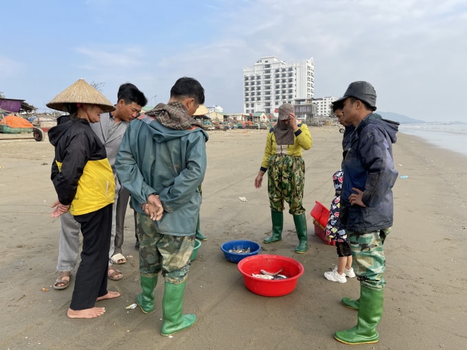 Kẻ bán người mua thưa vắng và không kỳ kèo trả giá như ngày thường. Ngư dân ra biển đầu năm chủ yếu để lấy may. Ảnh: Quang Duy