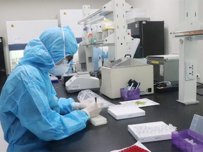 Tất cả 6.984 mẫu xét nghiệm tầm soát các nhóm nguy cơ trong cộng đồng tại TP Hồ Chí Minh đều âm tính với COVID-19