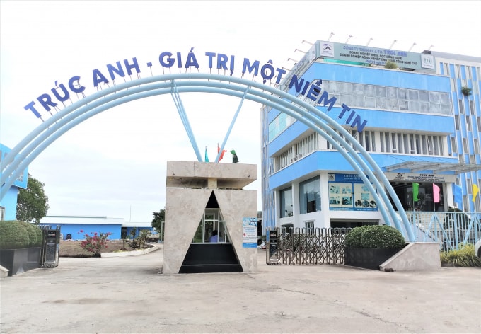 Công ty Trúc Anh.