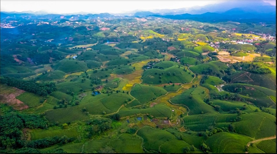Nơi có hàng trăm quả đồi được bao phủ một màu xanh non của những luống chè được cắt xén đều tăm tắp, trải rộng, nhấp nhô uốn lượn trên một vùng đất rộng lớn.