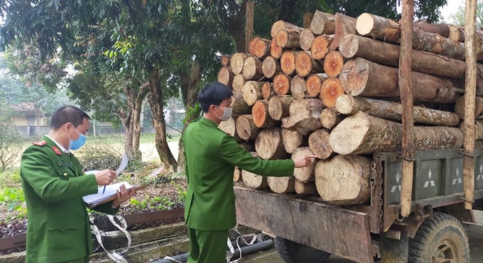 Số gỗ và phương tiện vi phạm bị tạm giữ.