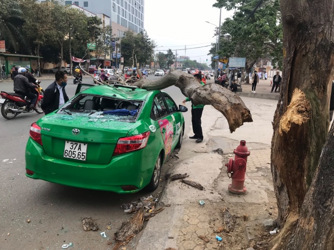 Sau vụ việc, nam tài xế đã gọi điện báo công ty đồng thời báo công ty bảo hiểm để có hướng xử lý hậu quả vụ tai nạn hy hữu này.