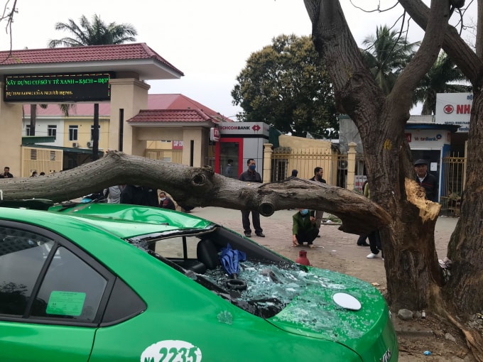 Tại hiện trường, cành cây ngô đồng lớn đè dọc chéo theo thân chiếc xe taxi. Phía trên nóc xe bị bẹp dúm. Kính sau xe bị vỡ vụn hoàn toàn, kính chắn gió trước xe cũng bị rạn nứt. Phần ngọn cành cây dài đổ cả ra đường nhưng may mắn không rơi trúng vào phương tiện nào khác.