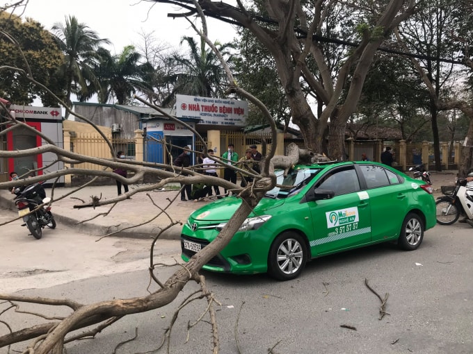 Phát hiện vụ tai nạn hy hữu, rất đông người đi đường đã đứng lại xem. Nhiều người tỏ ra lo ngại vì cây ngô đồng nơi xảy ra sự việc đã có dấu hiệu bị mục nát và có thể gãy đổ bất cứ lúc nào.