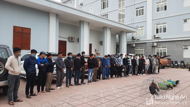 Các đối tượng đá gà ngày Tết bị Công an huyện Yên Thành tạm giữ. Ảnh: Thảo Nguyên