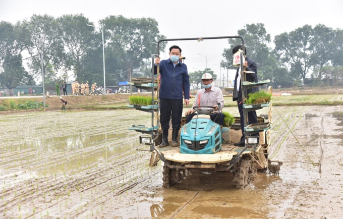 Bí thư Thành ủy Vương Đình Huệ đứng máy cấy, động viên nông dân xã Dị Nậu, huyện Thạch Thất sản xuất đầu năm (Ảnh: V.T)