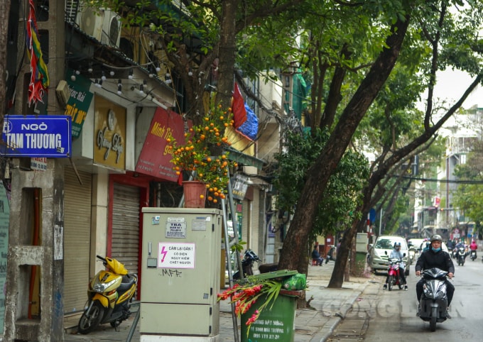 Nhiều người bê nguyên cả chậu cây quất để trên hộp điện áp, chờ xe rác qua lấy.