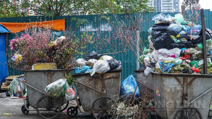 Những xe rác đầy ắp đào.