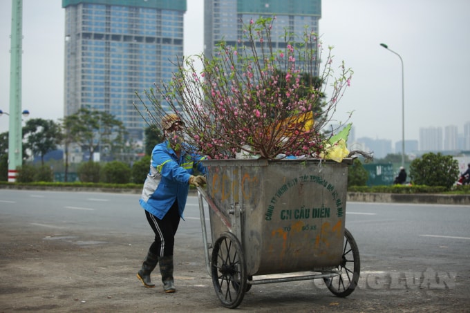 Những cành đào này khi trước đó vào 29-30 Tết còn người người săn đón mua về chơi Tết, sau chỉ 3 ngày Tết, đến mồng 2 đã bỏ lại bên đường, vỉa hè.
