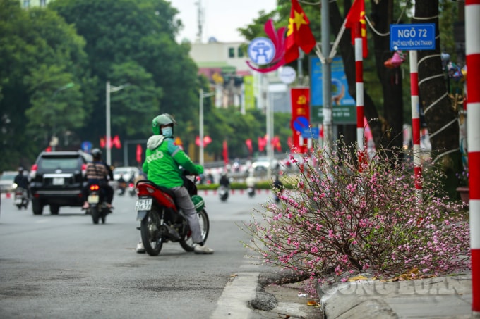 Khi mà trước đó chưa đầy 1 tuần, giá trị của nó được nhiều người dân mạnh tay chi tiền triệu. Giờ đây nằm lăn lóc bên các vỉa hè TP. Hà Nội.