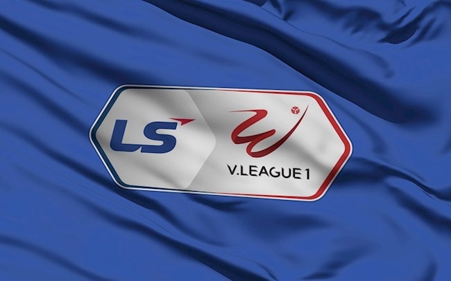 Giải V.League dự kiến sẽ trở lại từ giữa tháng 3 tới. Ảnh: internet