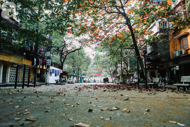Hà Nội nhiều mây, có mưa vài nơi, sáng sớm có sương mù và sương mù nhẹ, trưa chiều giảm mây trời nắng (Ảnh minh họa)