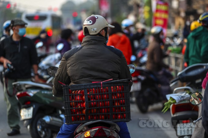 Hiện nay, khoảng 90% số cà rốt và 30% số rau bắp cải, su hào, súp lơ, rau ăn lá của tỉnh được xuất khẩu, còn lại tiêu thụ nội địa. Sở NN&PTNT Hải Dương cho biết hiện có hàng trăm tấn nông sản của tỉnh này đến kỳ thu hoạch nhưng không thể bán được do ảnh hưởng của Covid-19. Những ngày gần đây Hà Nội vẫn đang là một trong những nơi tích cực ủng hộ nông sản giúp bà con nông dân Hải Dương.