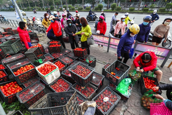 Tại điểm giải cứu nông sản ở đường Giải Phóng (Hà Nội), rất nhiều người dân đến đây mua nông sản, hơn 15 tấn nông sản bao gồm rau củ quả, cà chua, ổi, cà rốt… đã được bán hết trong vòng vài tiếng đồng hồ.