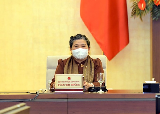 Phó Chủ tịch Quốc hội Tòng Thị Phóng.