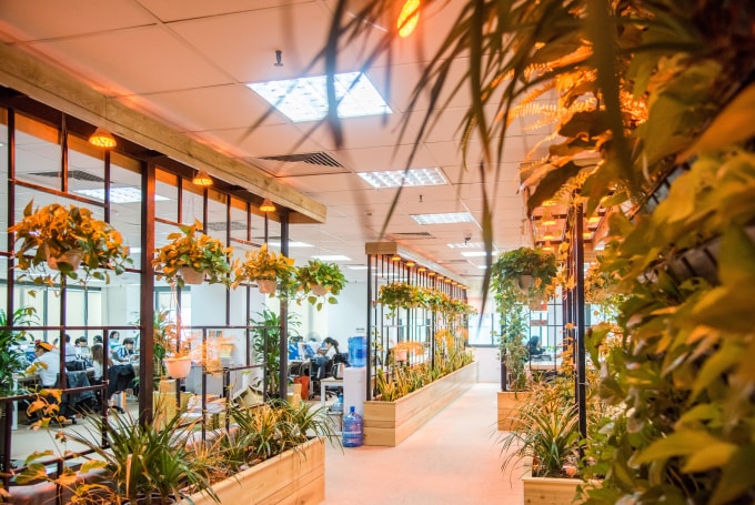 Flamingo tạo sự khác biệt bằng môi trường làm việc ngập tràn cây xanh, thấm đẫm hơi thở tự nhiên.