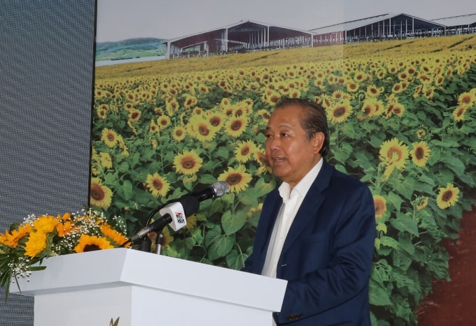 Phó Thủ tướng Thường trực Chính phủ Trương Hòa Bình phát biểu tại buổi lễ.
