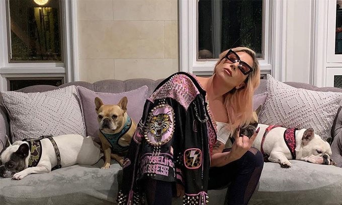 Lady Gaga