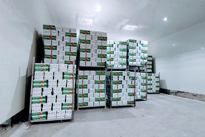 Những kiện hàng Cà rốt đảm bảo chất lượng để xuất khẩu. Ảnh: N.H