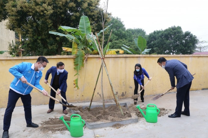 Năm 2021, các tổ chức thanh niên của Thủ đô Hà Nội sẽ trồng 90.000 cây xanh. Ảnh: Vương Đức