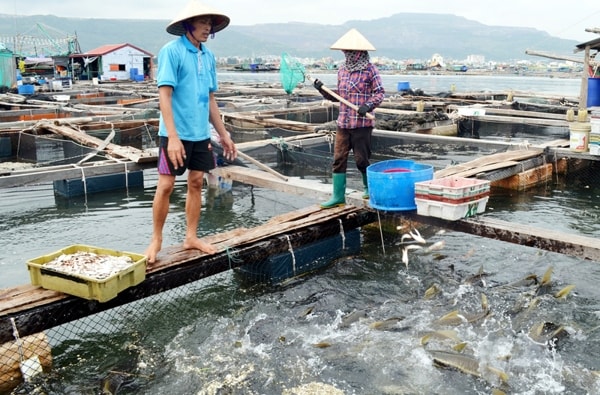 Việc giao biển để sản xuất phải đảm bảo nguyên tắc về quốc phòng, an ninh, chủ quyền…