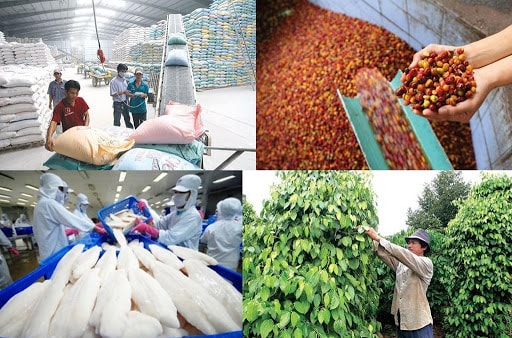 Xuất khẩu nông lâm thủy sản 2 tháng đầu năm 2021 tăng mạnh. Ảnh minh họa