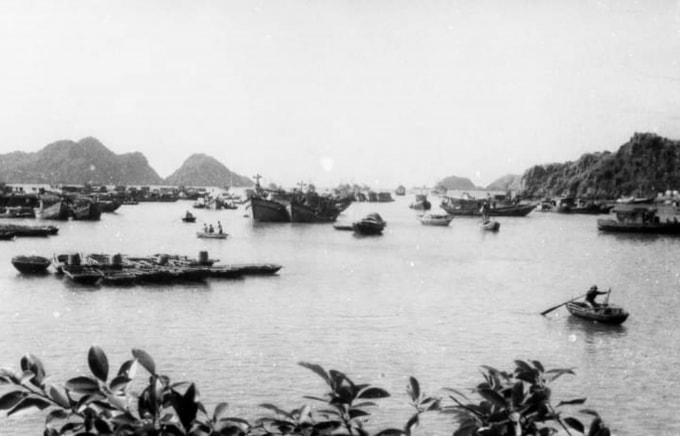 Cảng cá Cát Bà. 1992. Ảnh: Lưu Quang Phổ.
