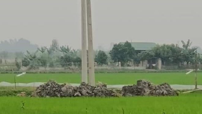 Khu vực xảy ra vụ việc đau lòng nằm giữa cánh đồng, vắng người qua lại. Ảnh: thanhnien.vn