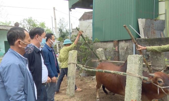 Các địa phương thực hiện tiêm phòng vắc-xin để khoanh vùng, bao vây khống chế dịch.
