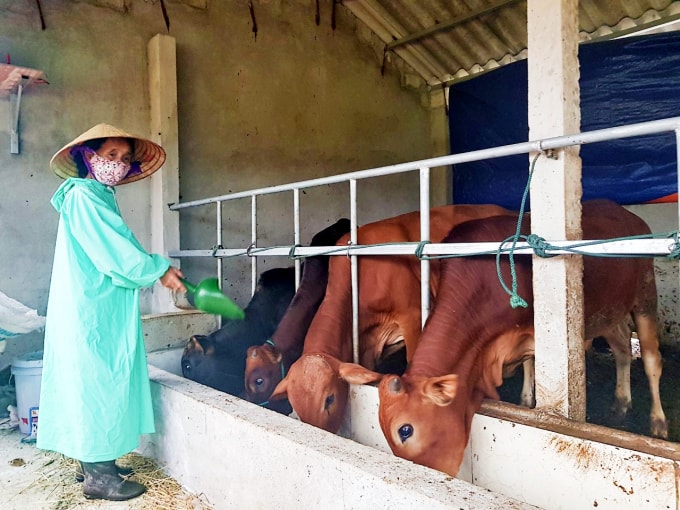 Người dân cần có ý thức chăm sóc đàn gia súc, vệ sinh chuồng trại thường xuyên để hạn chế mầm bệnh, hạn chế chăn thả tại các bãi tập trung,...