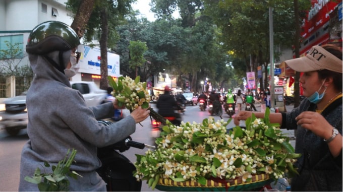 Hoa bưởi được bày bán trên nhiều tuyến phố ở Hà Nội như Lò Đúc, Gia Ngư, Trần Khát Chân (Ảnh: An Khang).