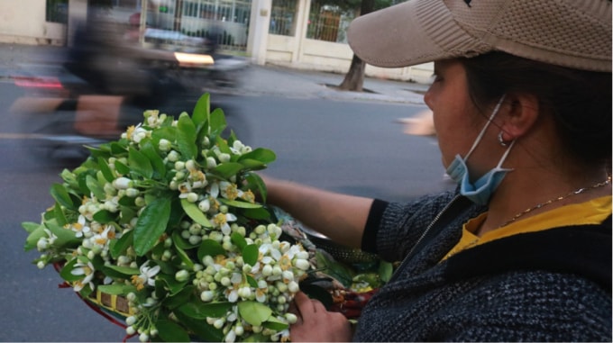 Năm nay lượng người mua hoa bưởi rất nhiều nên mỗi ngày chị Giang bán được hơn hai mươi kilogam hoa bưởi. Ảnh: An Khang