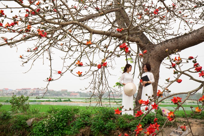 Những bóng áo dài màu trắng của các nữ sinh tới đây càng làm cho khung cảnh thêm phần lãng mạn.