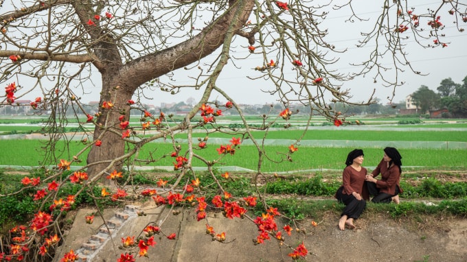 Không chỉ các bạn trẻ, các chị tuổi trung niên cũng tìm đến đây, đóng bộ để ghi lại những khoảng khắc hoa gạo nở.