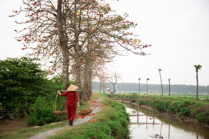 Người dân thôn Đoài, xã Tiên Nội rất tự hào về rặng hoa gạo tuyệt đẹp ở quê mình. Họ luôn sẵn sàng, tự nguyện làm mẫu cho các thợ săn ảnh.