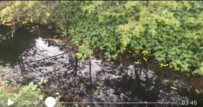 Nước thải đen kịt, bốc mùi ô nhiễm (ảnh cắt từ video)