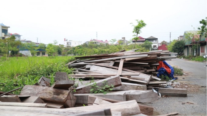 Người không có việc làm, những đống gỗ cũng bị bỏ ngoài trời mặc cho mối ăn.