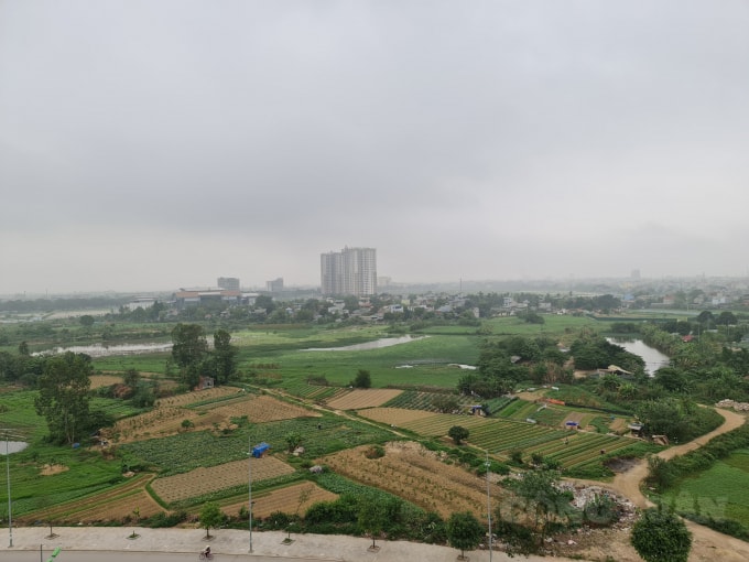 Đât ở đang là nhu cầu thiết yếu của người dân. Ảnh minh họa