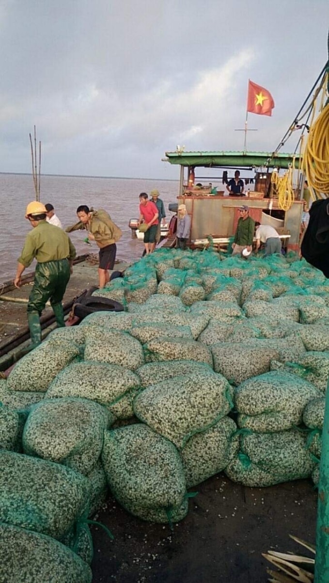 Người dân nuôi ngao kêu cứu vì doanh nghiệp khai thác cát.
