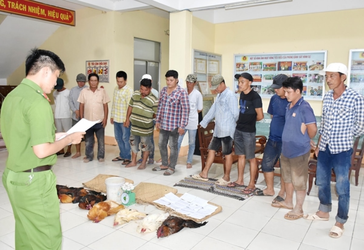 Đây là điểm đá gà ăn tiền quy mô lớn, được tổ chức chặt chẽ, có bố trí người cảnh giới để đối phó với cơ quan chức năng. Ảnh: vov.vn