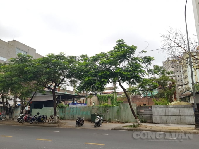 Khu nhà đất 73 Nguyễn Huệ (phường Vĩnh Ninh, TP Huế) bị bỏ hoang nhiêu năm nay.