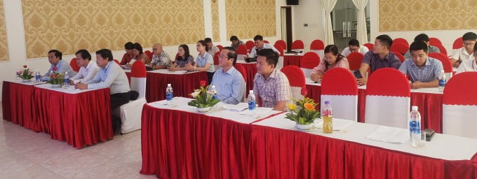 Các đại biểu tham dự Hội nghị.