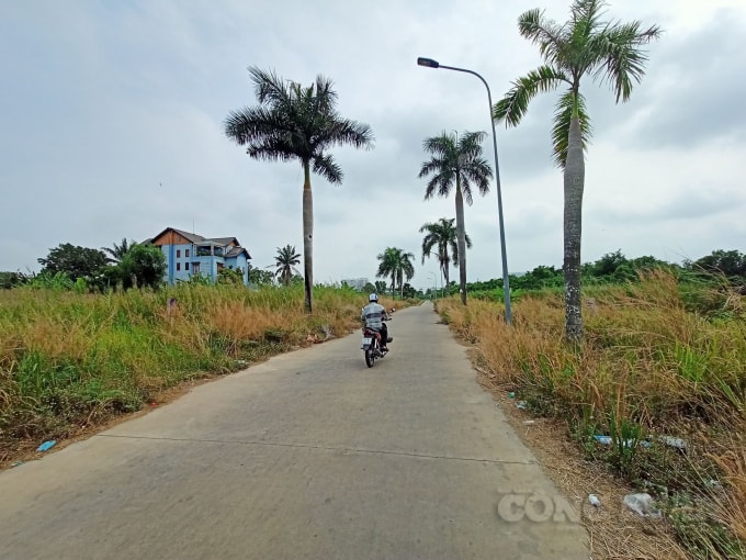 Bên trong dự án Huy Hoàng hiện nay cỏ cây mọc um tùm