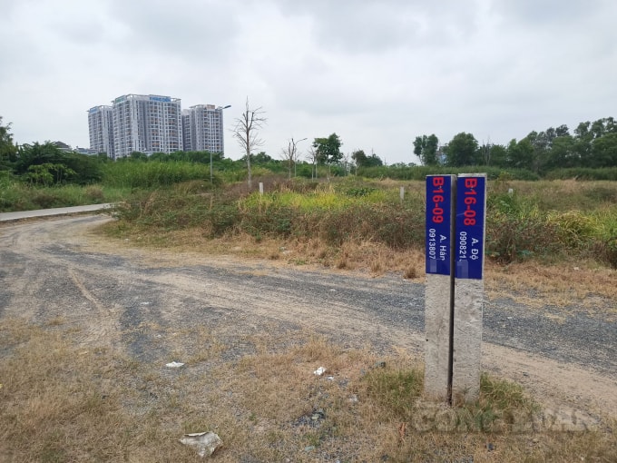 Nhiều người dân phải tự bỏ tiền đóng cọc và bảng tên tại các lô đất, nhằm tránh tranh chấp hoặc bị chủ đầu tư mang đi bán cho người khác