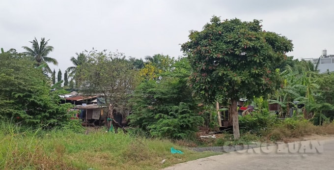 Nhiều phần mộ và nhà dân vẫn còn nằm bên trong dự án, vẫn chưa được giải tỏa hết