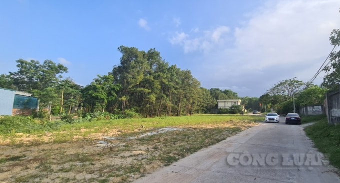 Một trong số những lô đất mà ông Lê Ngọc Thiện trúng đấu giá được Thanh tra Chính phủ đề nghị xử lý dứt điểm các vi phạm về sử dụng đất, trật tự xây dựng liên quan đến khu đất này. (ảnh Hữu Tin)